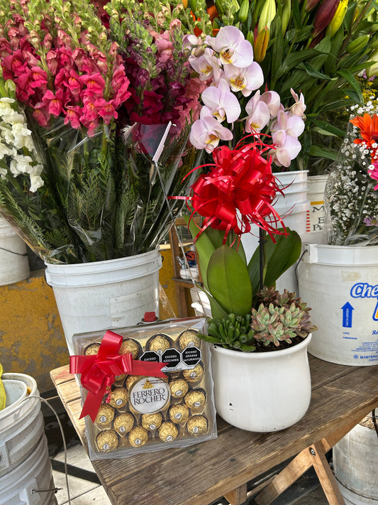 Orquidea y Chocolates Ferrero Rocher.